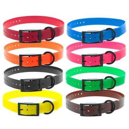 muti-colors dog colar canihunt xtreme